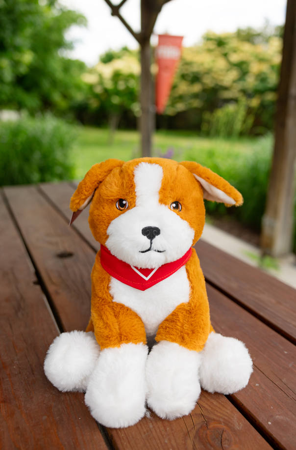 Peluche (caramel et blanc)