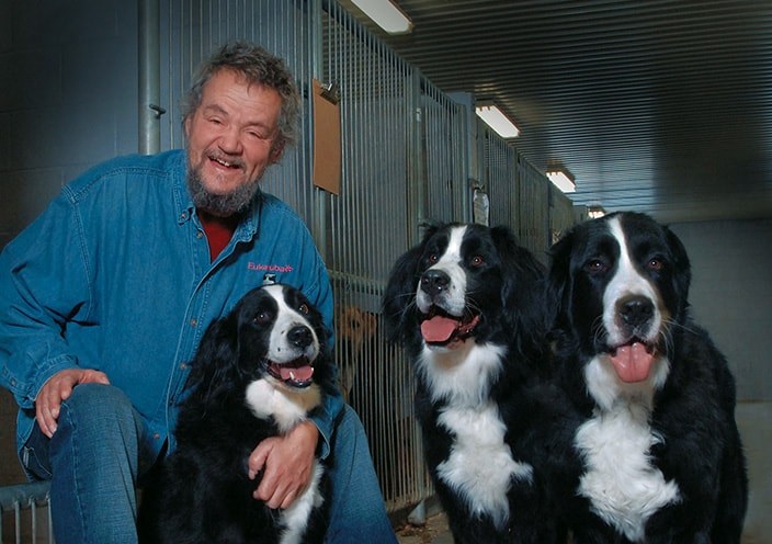 Éric St-Pierre accompanied by three Labernois dogs