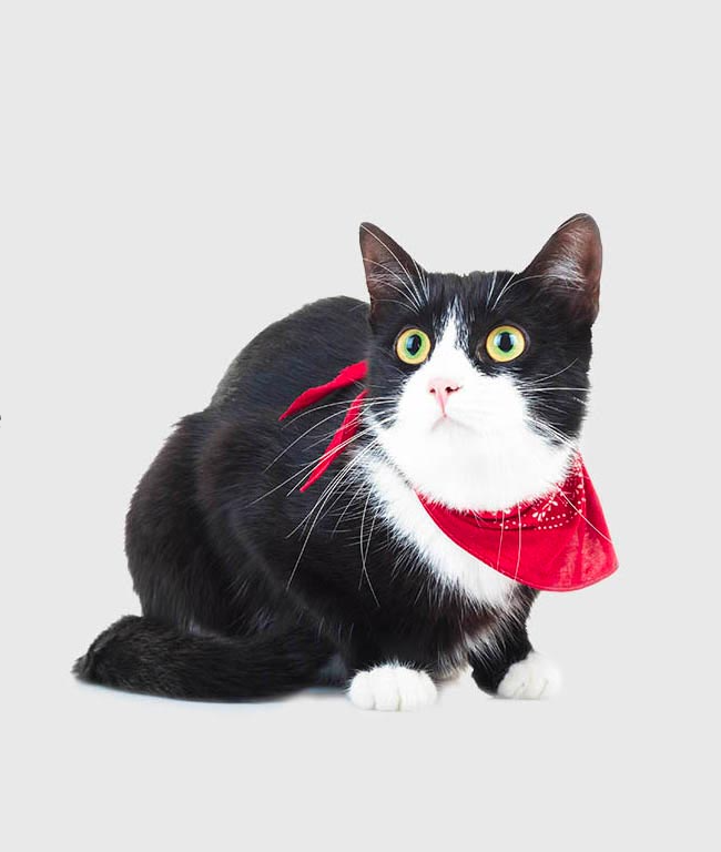 Screenshot 2026 03 11 At 10 42 44 Pm