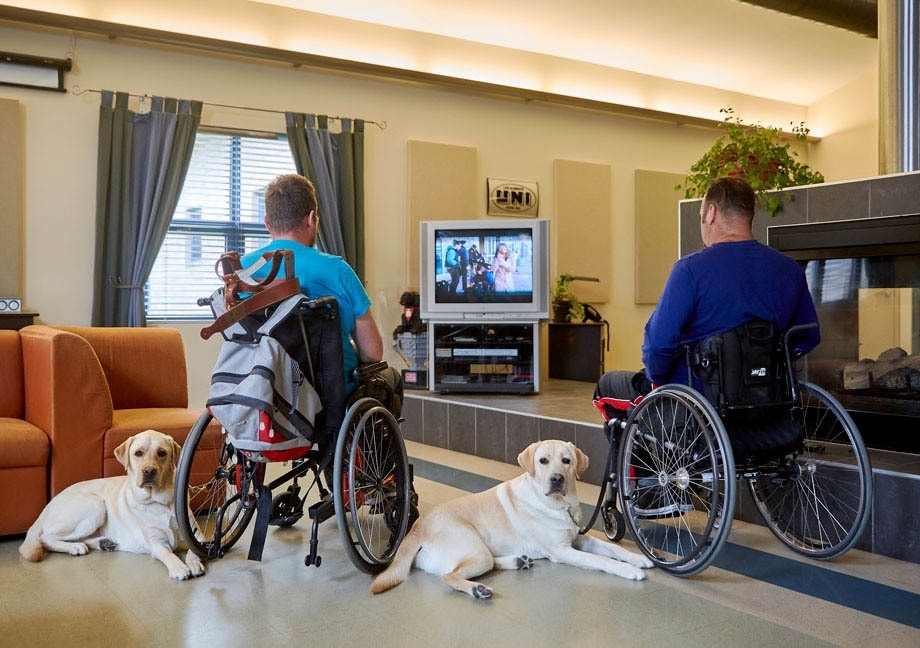 Deux chiens d'assistance allongés à côté de leurs maîtres en fauteuil roulant