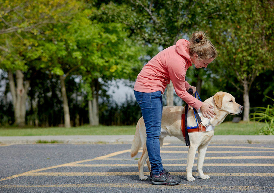 Chien Mira de type Labrador avec sa maitresse